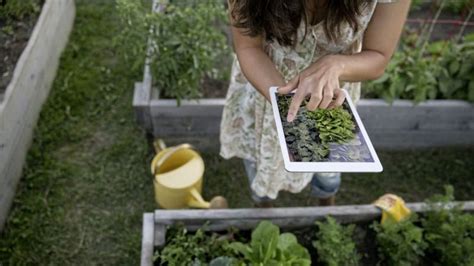 Great gardening advice is at your fingertips with new apps and books